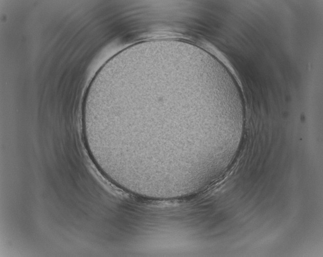 X0000067841195200605111634