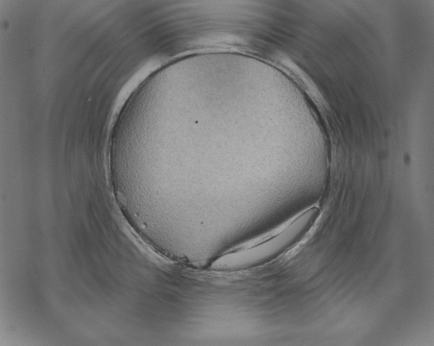 X0000067841196200605111634