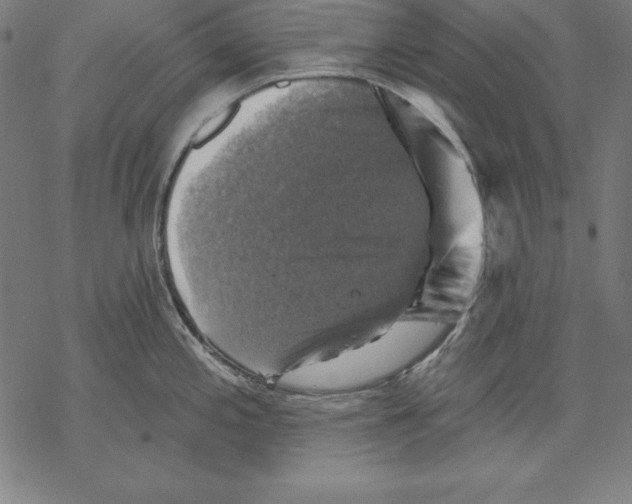 X0000067841197200605111634