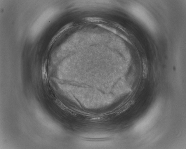 X0000067841198200605111634