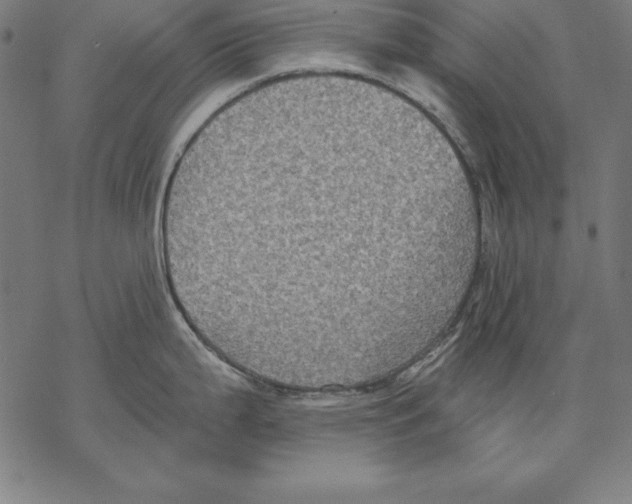 X0000067841199200605111634