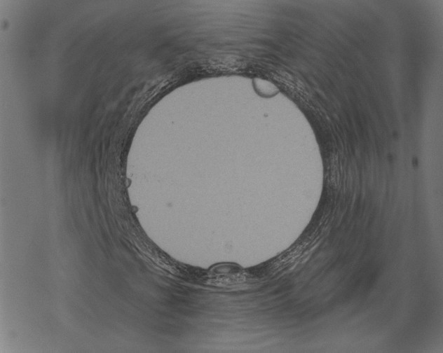 X0000067841201200605111634