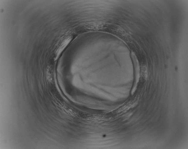 X0000067841202200605111634