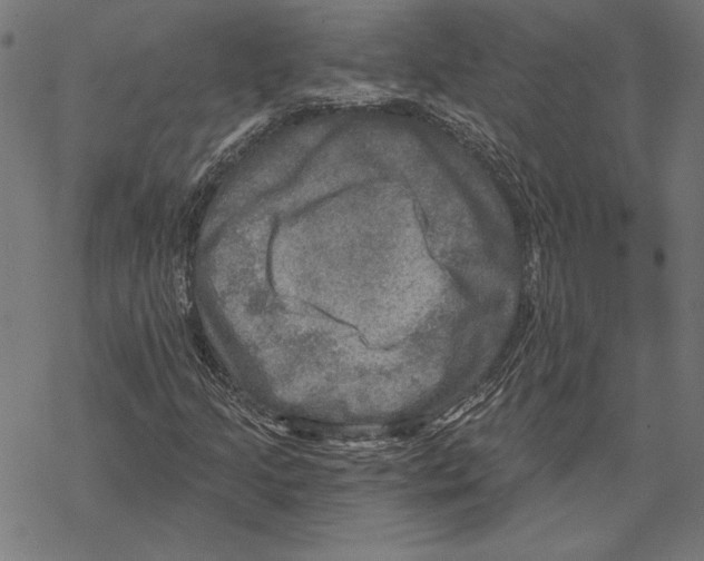 X0000067841205200605111634