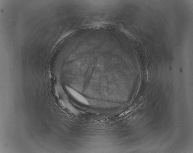 X0000067841206200605111634