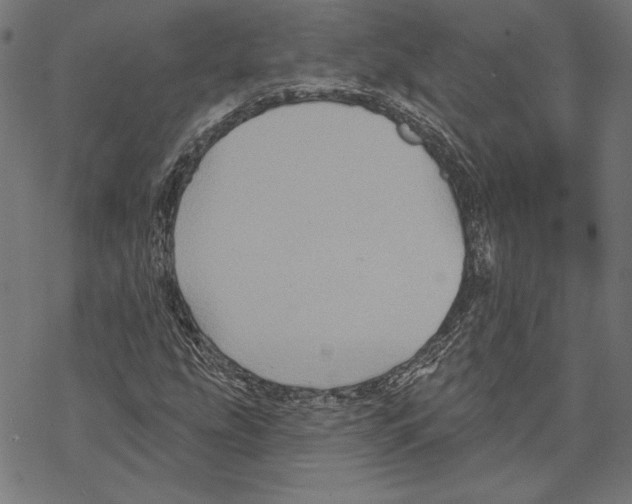 X0000067841207200605111634