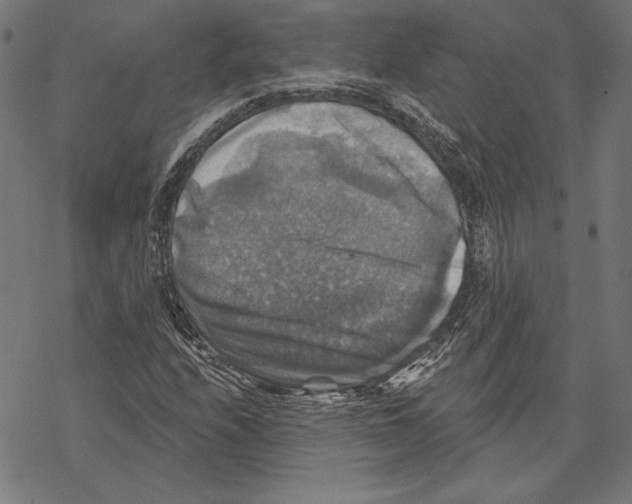 X0000067841208200605111634