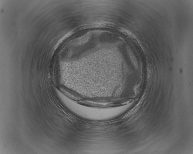 X0000067841210200605111634