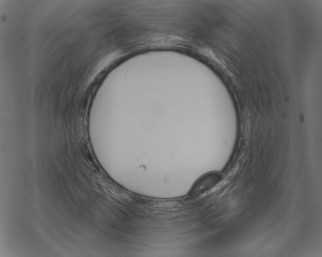 X0000067841211200605111634