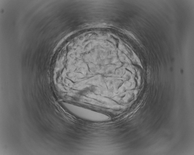 X0000067841212200605111634