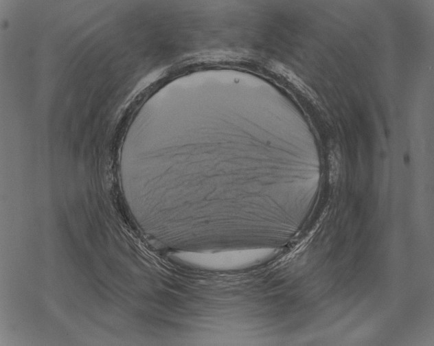 X0000067841213200605111634