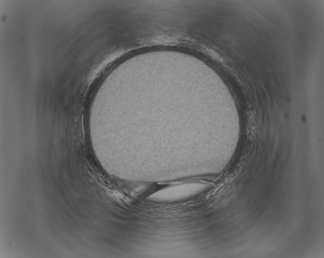 X0000067841214200605111634