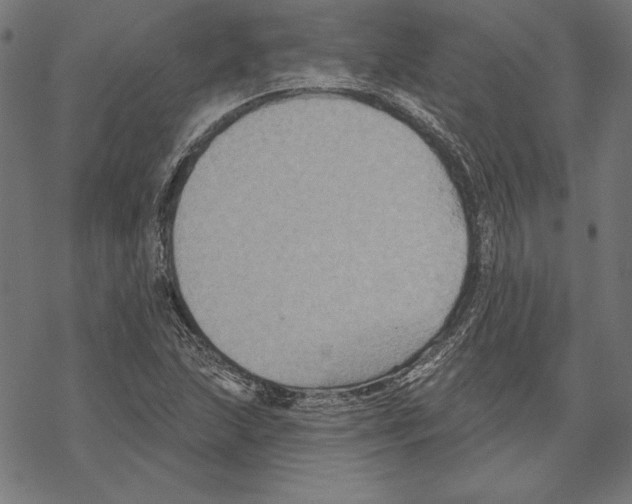 X0000067841215200605111634