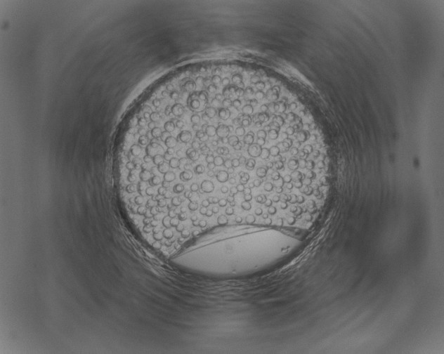 X0000067841216200605111634