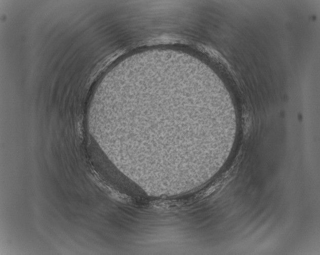 X0000067841217200605111634