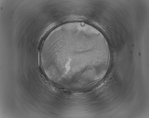 X0000067841219200605111634