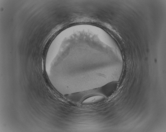 X0000067841221200605111634