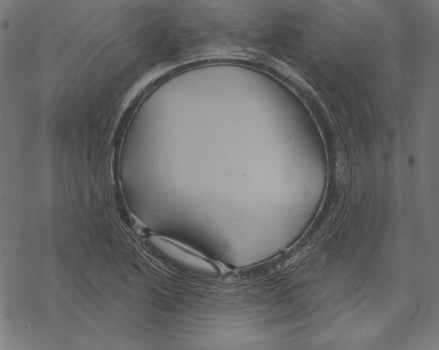 X0000067841222200605111634