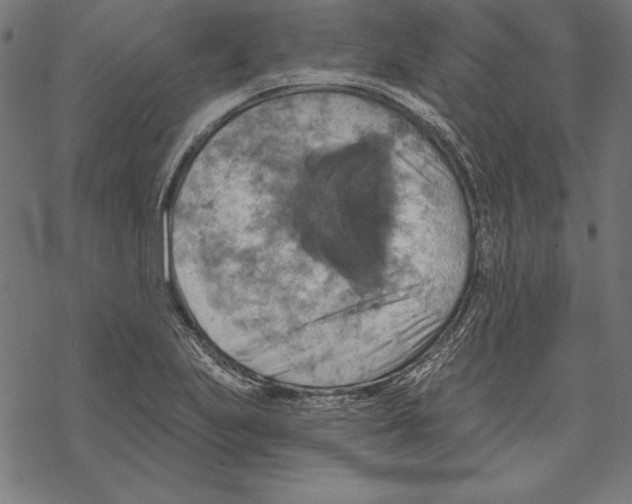 X0000067841223200605111634