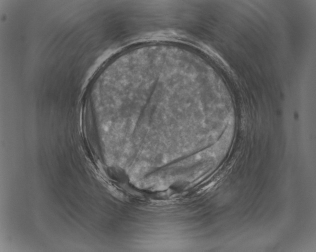 X0000067841224200605111634