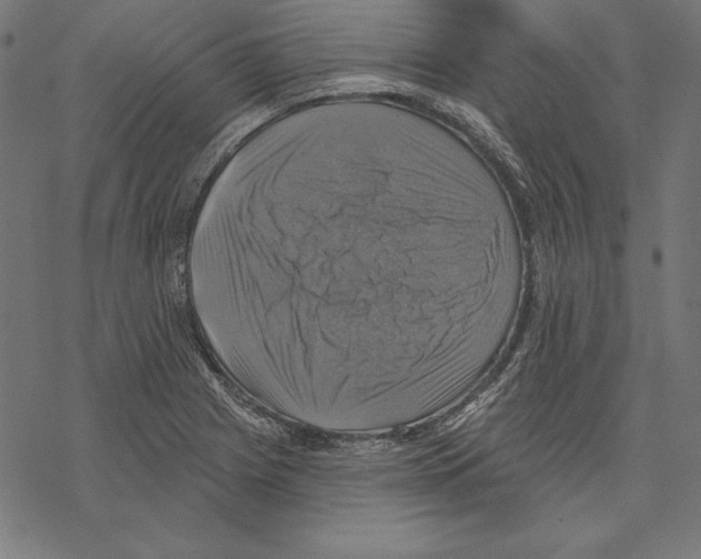 X0000067841225200605111634