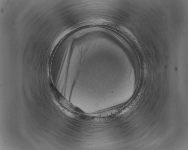 X0000067841226200605111634