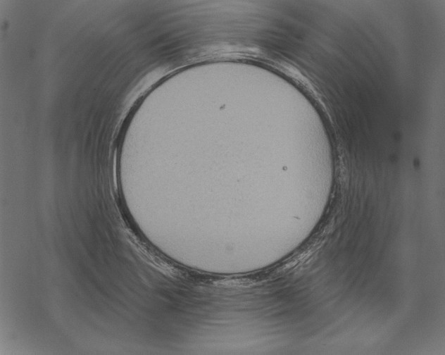 X0000067841227200605111634