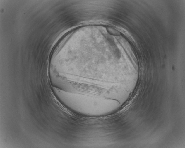 X0000067841228200605111634