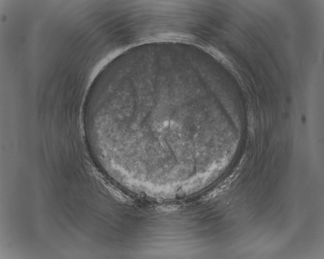 X0000067841230200605111634