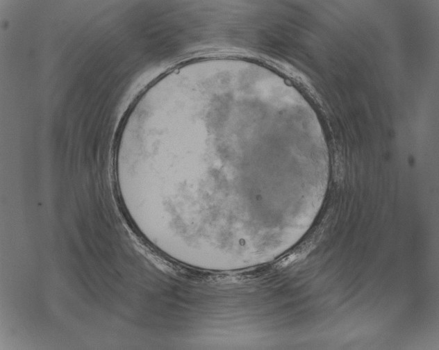 X0000067841231200605111634