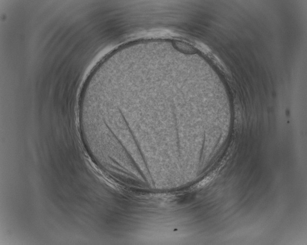 X0000067841232200605111634