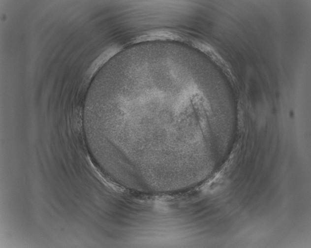 X0000067841233200605111634