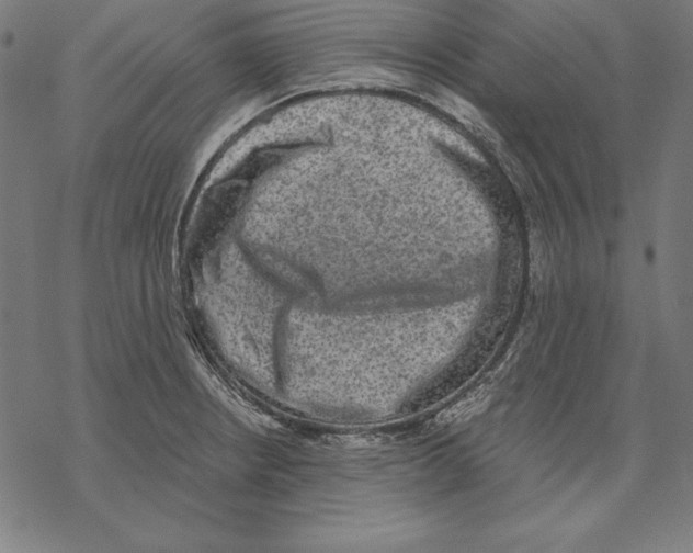 X0000067841234200605111634