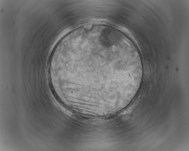 X0000067841235200605111634