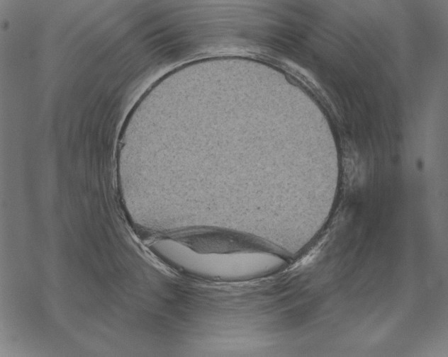 X0000067841236200605111634