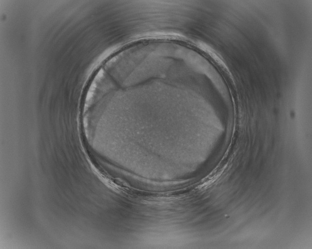 X0000067841237200605111634