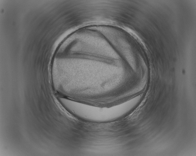 X0000067841238200605111634