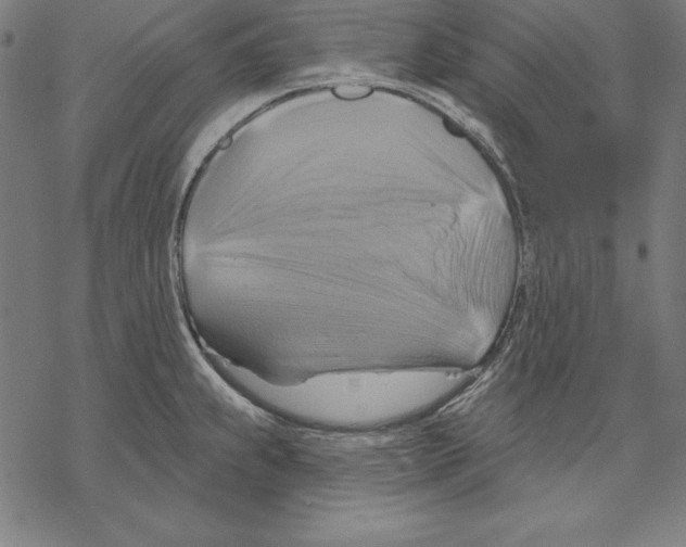 X0000067841239200605111634