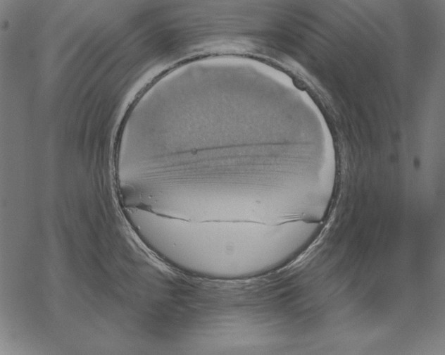 X0000067841240200605111634