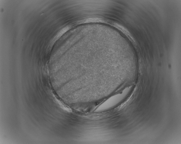 X0000067841241200605111634