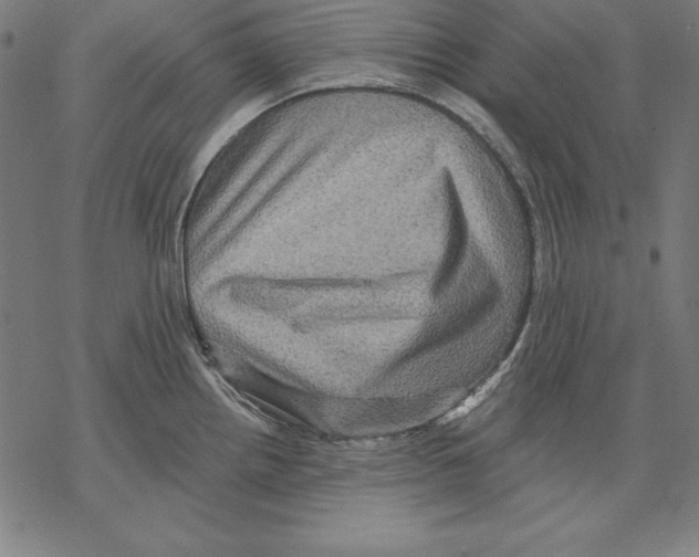 X0000067841242200605111634