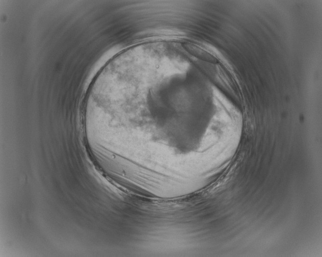 X0000067841243200605111634