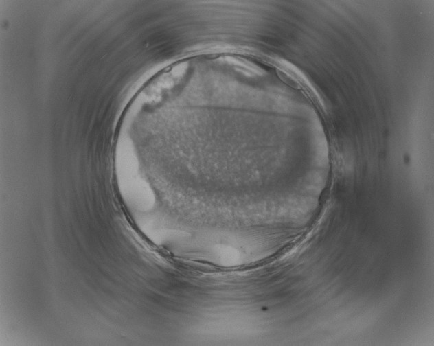 X0000067841244200605111634