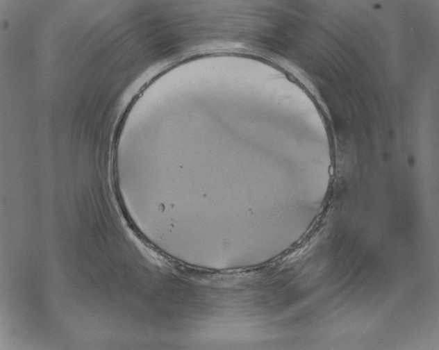 X0000067841245200605111634