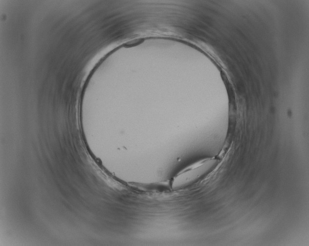 X0000067841246200605111634