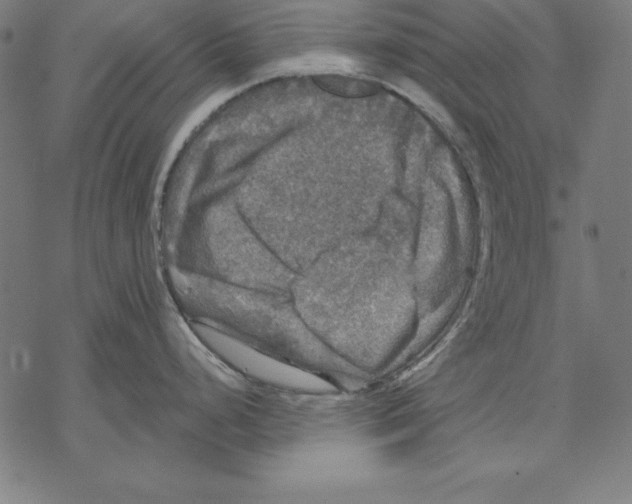 X0000067841248200605111634