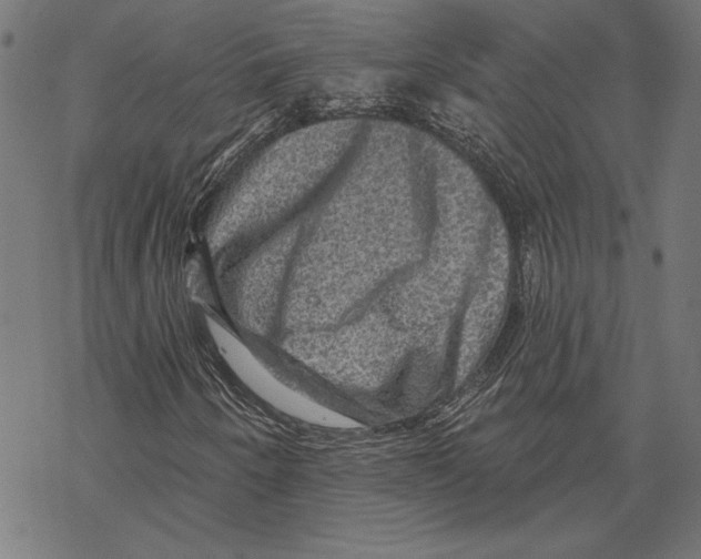 X0000067841250200605111634