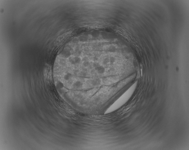 X0000067841251200605111634