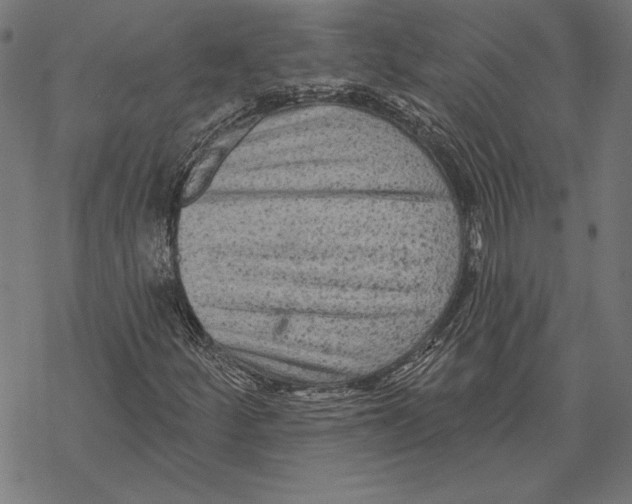 X0000067841252200605111634