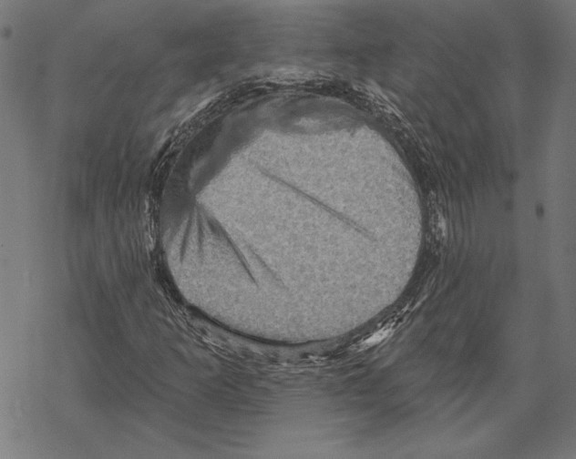 X0000067841253200605111634